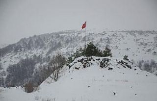 Ordu’dan kar manzaraları
