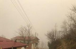 Ordu’dan sis manzarası