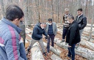 Orman İşletmesi Mustafakemalpaşa’ya nefes oldu