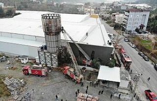 Orman ürünleri fabrikasında yangın