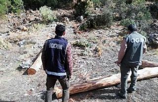 Orman’da 2 milyon liralık vurgun operasyonu
