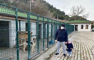 Osmaneli Belediyesi Hayvan Barınağı destek bekliyor