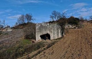 (Özel) Bursa’da 2 bin yıllık kaya mezarın, Romalı...