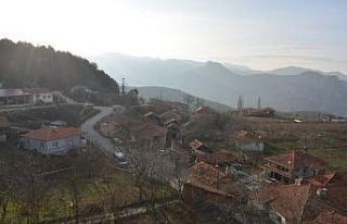 (Özel) Covid bu köye giremedi