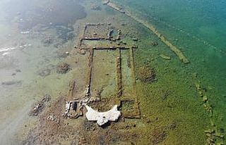 (Özel) Kuraklık bazilikayı da vurdu...İkinci Göbeklitepe...