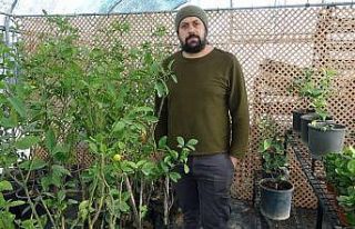 (Özel) Kuraklık bitkilerin kimyasını da değiştirdi