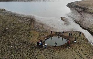 (Özel) Kuruyan Ömerli Barajı’nda mahsur kalan...