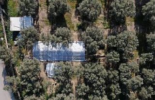 (Özel) Lahit tarlası işte böyle korunuyor