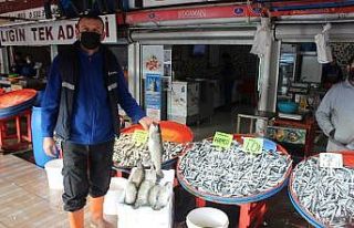 (Özel) Sıcak havalar hamsi fiyatlarını vurdu