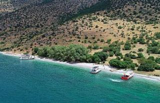 (Özel) Van Gölü’nün cennet koyları ’doğal...