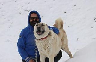 Özlemle beklenen kara en çok sevinin onlar oldu