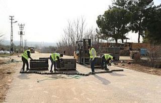 Pamukkale Belediyesi kısıtlamalarda da hizmetlerine...