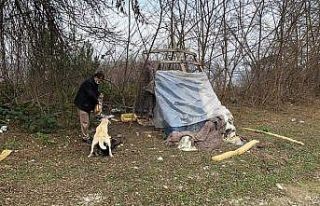 Pandemide aç kalan sokak hayvanları unutulmadı