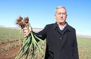 Pandeminin ilacından sevindiren haber