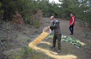 Pazar alanından toplanan atıl yeşillik ve meyveler...