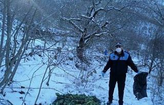 Pazar artıkları yaban hayvanlarına yem oldu