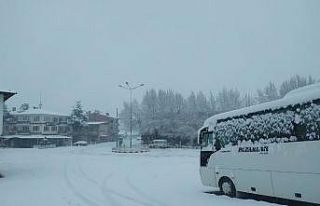 Pazarlar’da kar sevinci