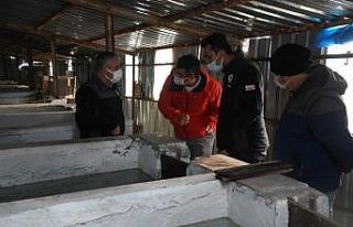 Pınarbaşı Gözeleri Türkiye’nin Göz Bebeği