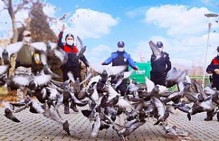 Polis ekipleri sokak hayvanlarını unutmadı