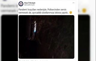 Polis memurları emniyet bahçesinde yiyecek arayan...