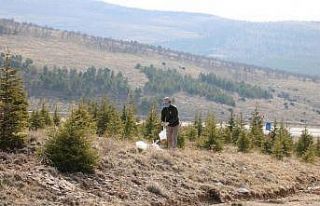 Polis, yaban hayvanları için doğaya yem bıraktı