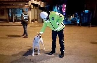 Polisin köpeğe şefkati yürekleri ısıttı