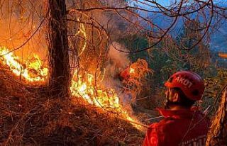 Rize’de bahçe temizliği yapmak isteyen vatandaş...