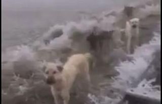 Sağlık çalışanlarından örnek davranış