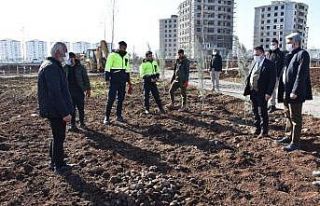 Sakarya Caddesinin iyileştirilmesinde sona doğru