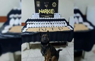 Sakarya’da 22 bin adet uyuşturucu hap ele geçirildi