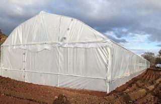 Salihli ve Turgutlu’ya teknolojik sera kurulacak