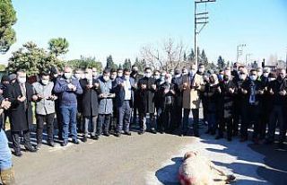 Salihli’de 16 kilometrelik beton yol dualarla açıldı