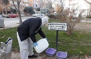 Salihli’de sokak hayvanlarına mama desteği