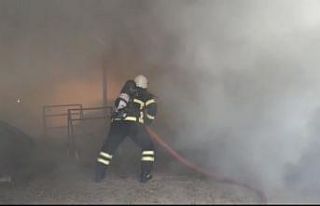 Samandağ’da saman yangını