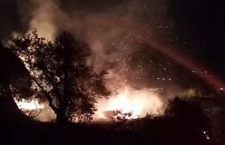 Samandağ’da zeytinlik yangını