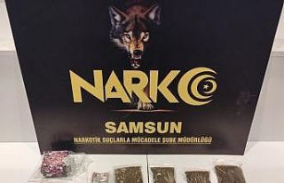 Samsun’da 2 kişiye uyuşturucu ticaretinden gözaltı