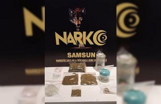Samsun’da bonzai ile yakalanan 2 kişi gözaltına...