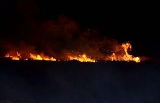 Samsun’da sazlık yangını