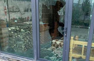 Şanlıurfa’da güpegündüz hırsızlık anları...