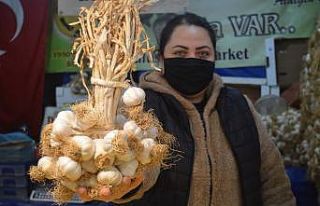 Sarımsak alırken dikkat