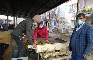 Selendi’de tütün alımları başladı