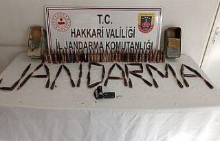 Şemdinli’de mühimmat ele geçirildi