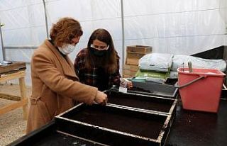 Seraya yılın ilk çiçek tohumunu Başkan Köse...