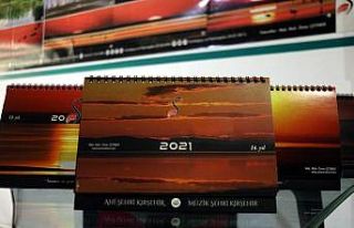 Seyfe Gölü Kuş Cenneti, fotoğraflarda yaşatılıyor