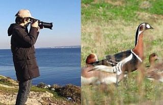 Sibirya kazı yıllar sonra Hersek lagününde görüldü