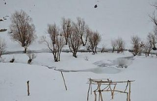 Sıcaklık eksi 20’ye düştü ağaçlar buz tuttu