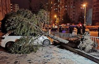 Şiddetli rüzgar çatıları uçurdu, ağaçları...