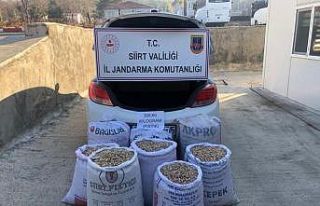 Siirt’te 8 çuval fıstık çalan şahıs yakalandı