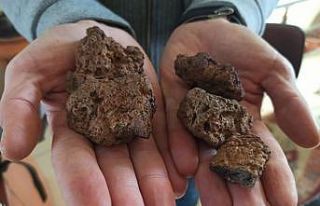 Siirt’te bir kişi, tarlasında bulduğu taşları...