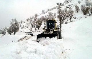 Siirt’te kar yağışı nedeniyle 64 köy yolu ulaşıma...